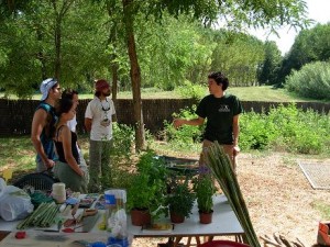 Taller de permacultura y creación de un huerto ecológico