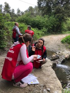 Proyecto Ríos