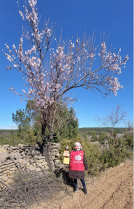 Colocación de las cajas-nido en la sierra