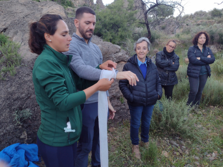 Pasos por la Tierra: senderismo Felix